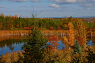 Beautiful fall colours