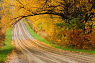 Quiet road on a fall day