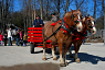 Sleigh ride during Sonowman Mania