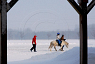 Pony ride, Snowman Mania